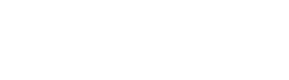 Digisense